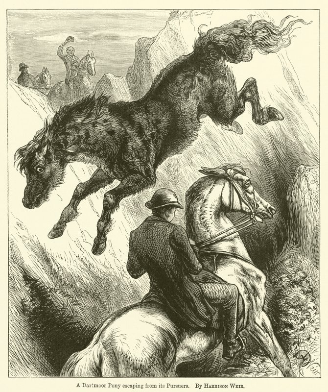 Takipçilerinden kaçan bir Dartmoor Midillisi by Harrison William Weir