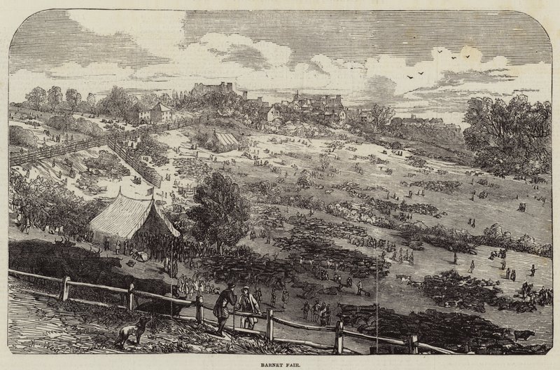 Barnet Fuarı by Harrison William Weir