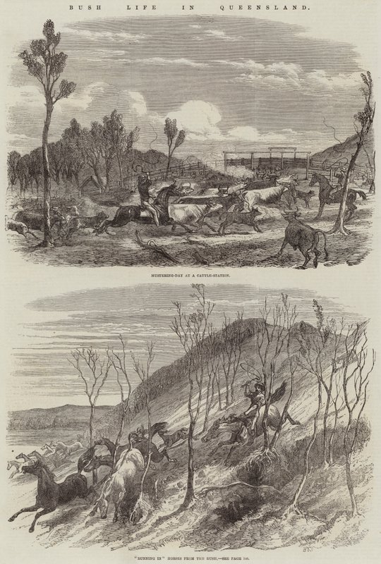 Queensland'de Bush Yaşamı by Harrison William Weir