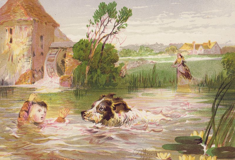  by Harrison William Weir