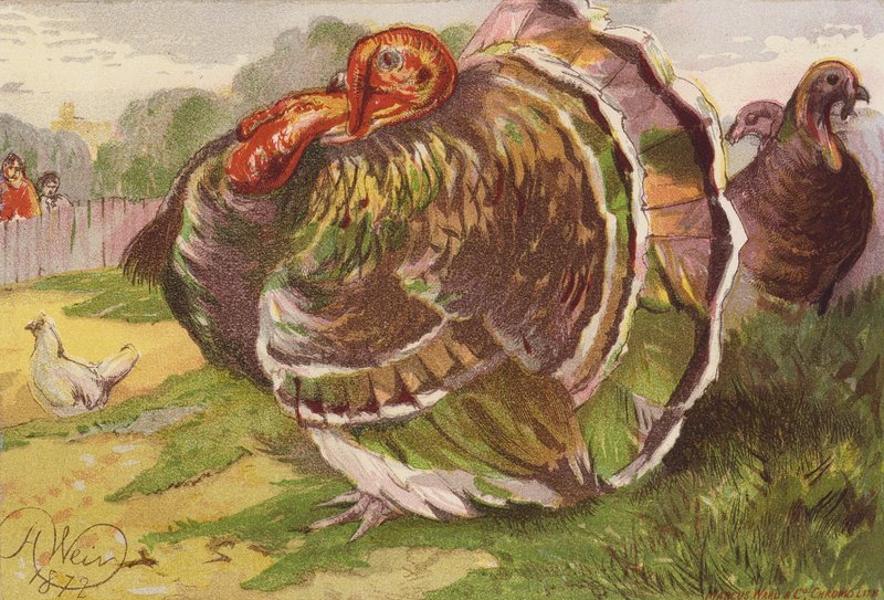  by Harrison William Weir