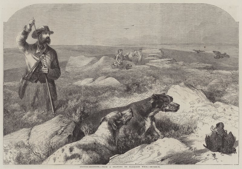 Orman Tavuğu Çekimi (gravür) by Harrison William Weir