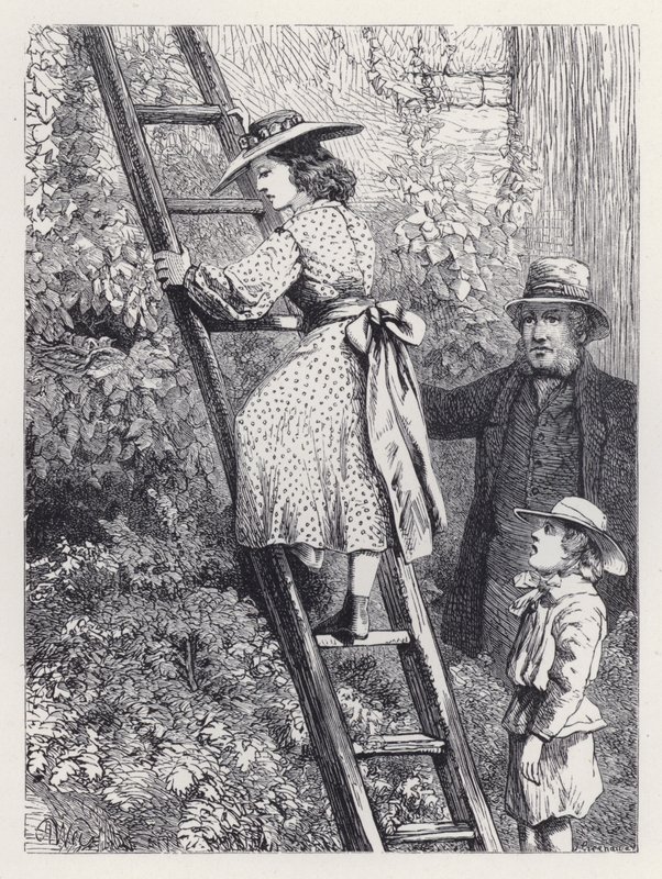 Harriet Robins' Nest'te Peeps (gravür) by Harrison William Weir