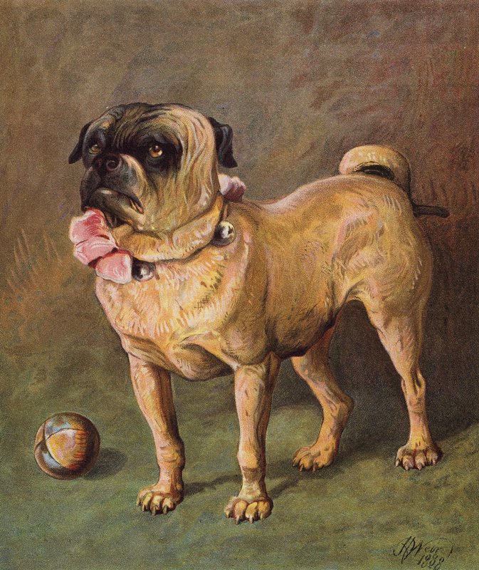  by Harrison William Weir