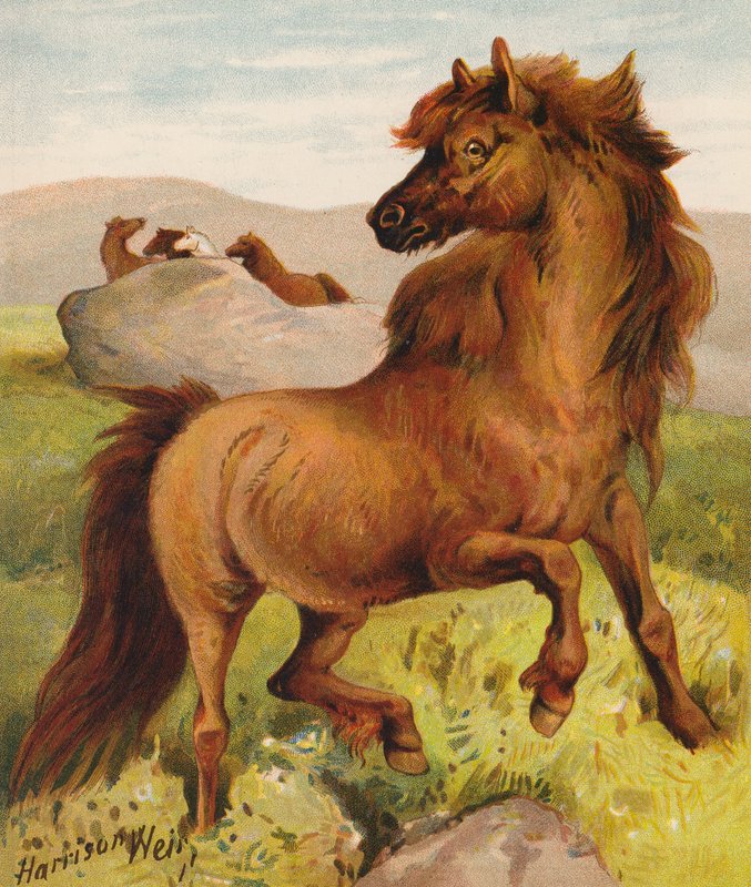 by Harrison William Weir