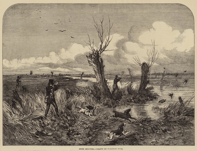 su çulluğu atışı by Harrison William Weir