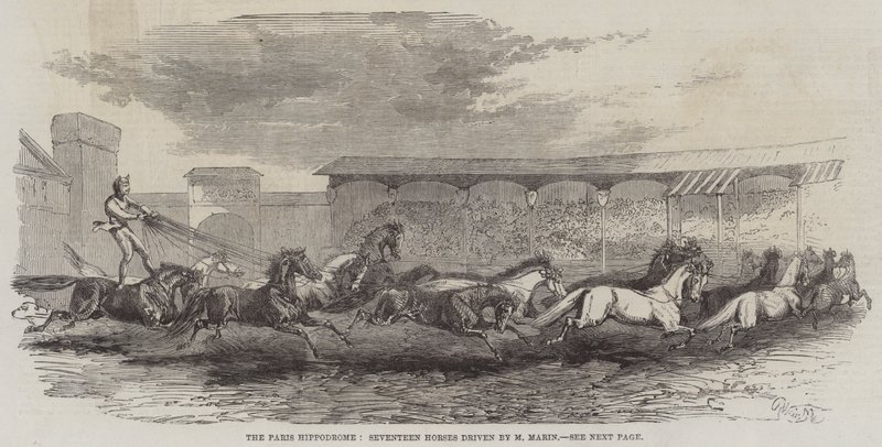 Paris Hipodromu, M Martin tarafından sürülen Onyedi At by Harrison William Weir