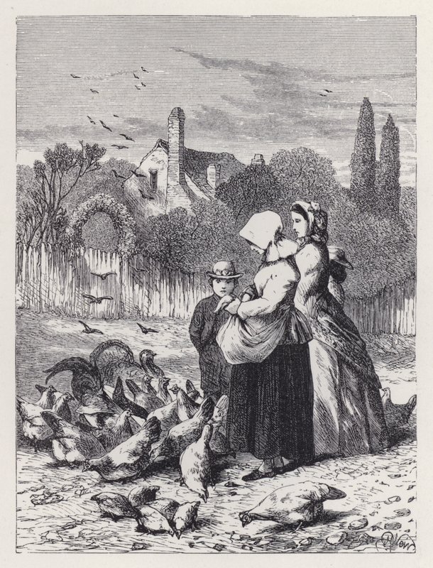 Poultry Yard (gravür) by Harrison William Weir