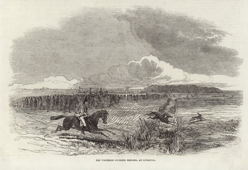 Waterloo Kurs Toplantısı by Harrison William Weir