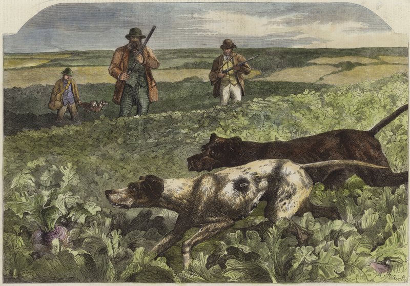 Eylül ayının ilki by Harrison William Weir