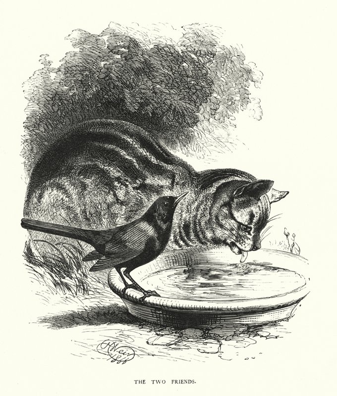 İki arkadaş (gravür) by Harrison William Weir