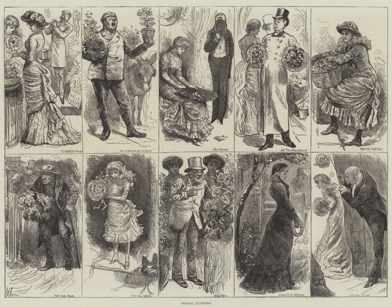 Bahar çiçekleri by Harry Furniss