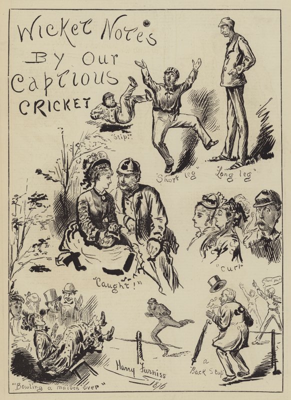 Captious Cricket
