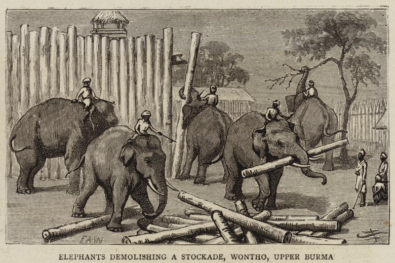 Bir Stockade, Wontho, Yukarı Burma'yı yıkan filler by Harry Hamilton Johnston