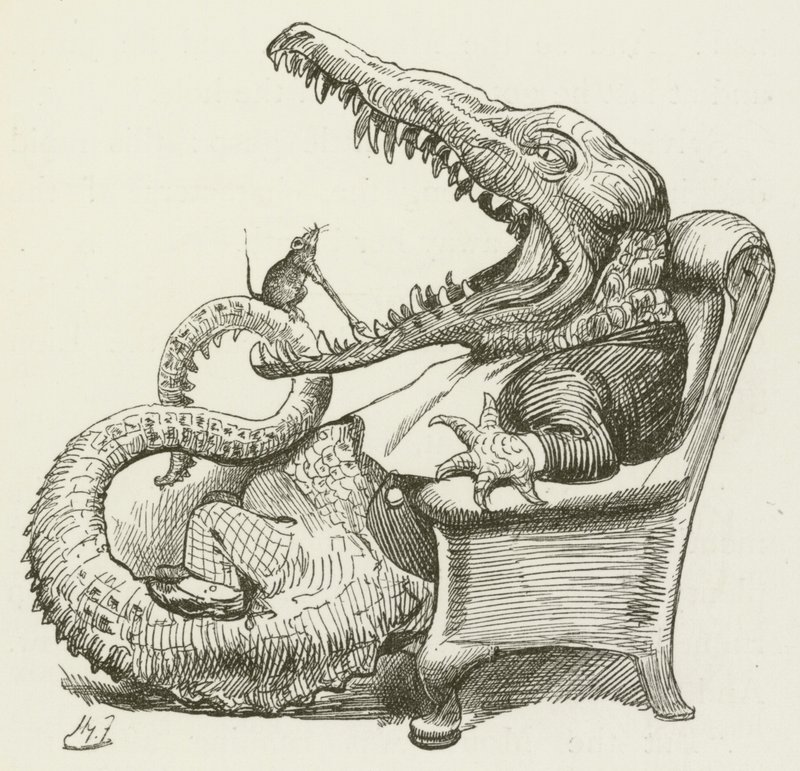Lewis Carroll tarafından Sylvie ve Bruno için illüstrasyon by Harry Furniss