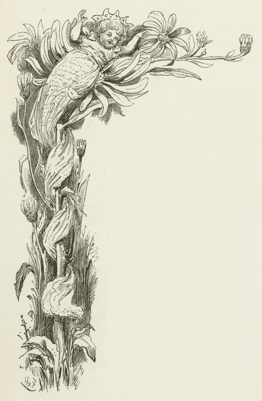 Lewis Carroll tarafından Sylvie ve Bruno için illüstrasyon by Harry Furniss