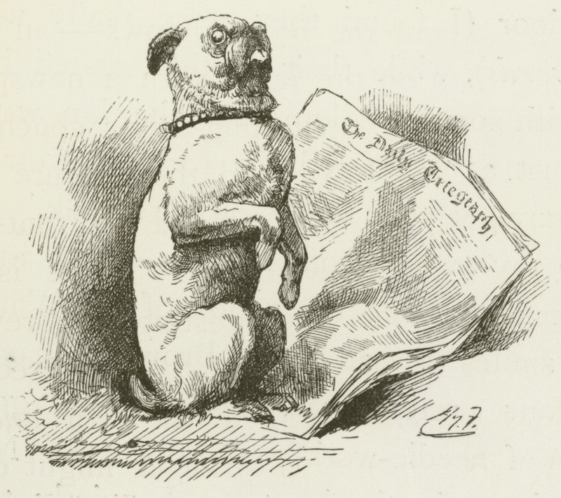 Lewis Carroll tarafından Sylvie ve Bruno için illüstrasyon by Harry Furniss