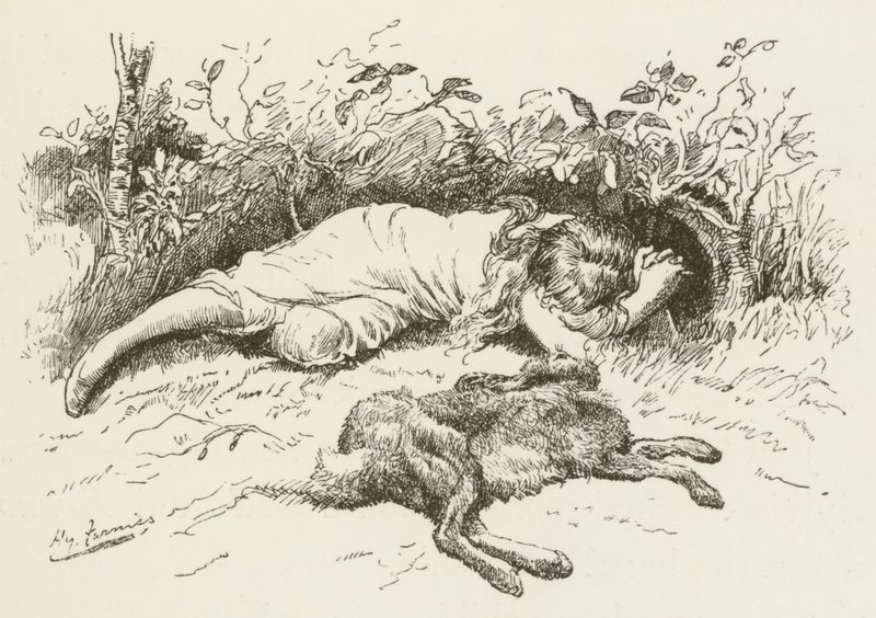 Lewis Carroll tarafından Sylvie ve Bruno için illüstrasyon by Harry Furniss