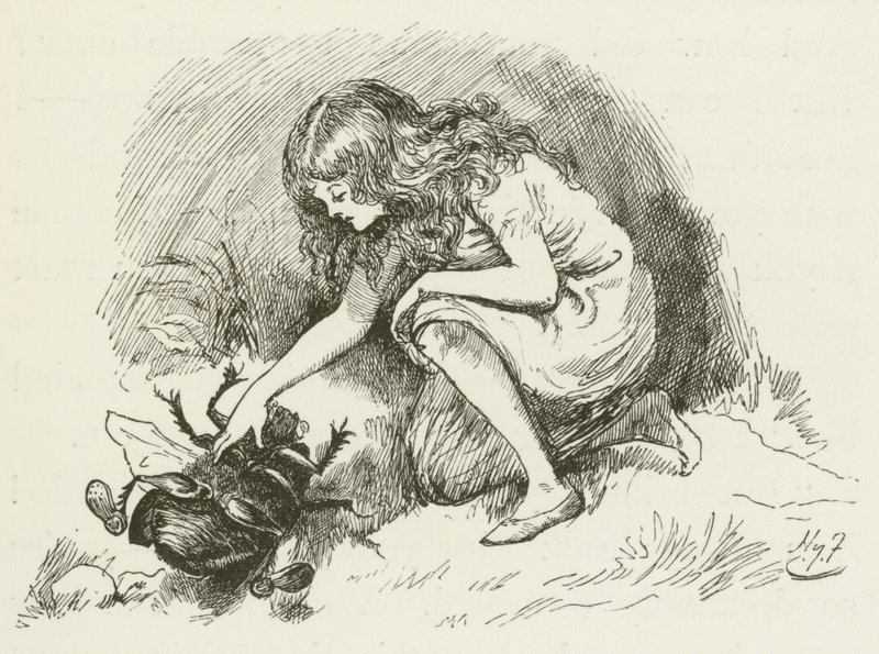 Lewis Carroll tarafından Sylvie ve Bruno için illüstrasyon by Harry Furniss