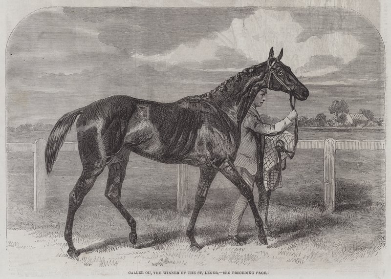 Arayan Ou, St Leger'in Kazananı by Harry Hall