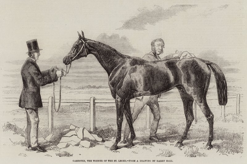 Gamester, St Leger