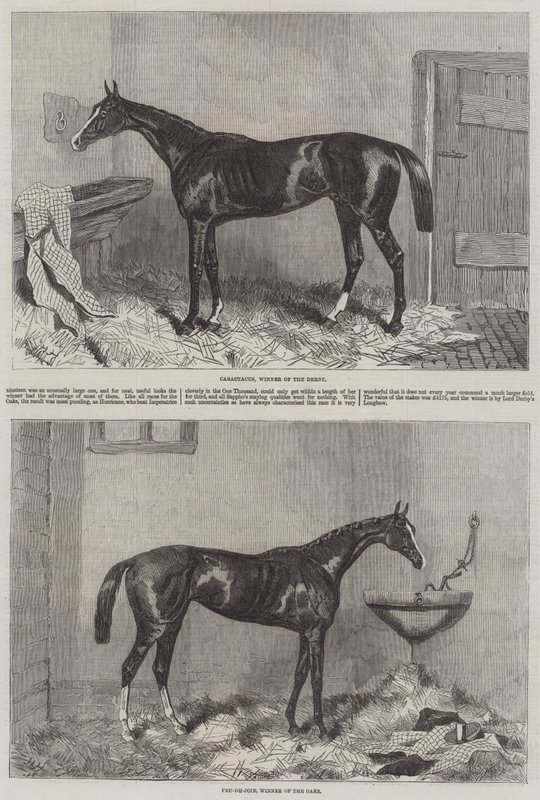 Derby ve Oaks