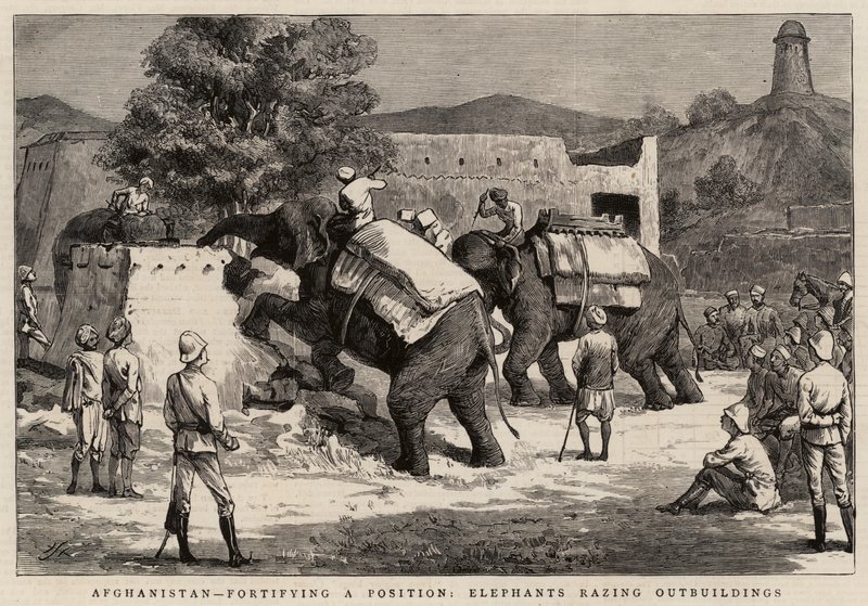 Afganistan, bir Mevkii güçlendiriyor, Filler Müştemilatı yerle bir ediyor by Harry Hamilton Johnston