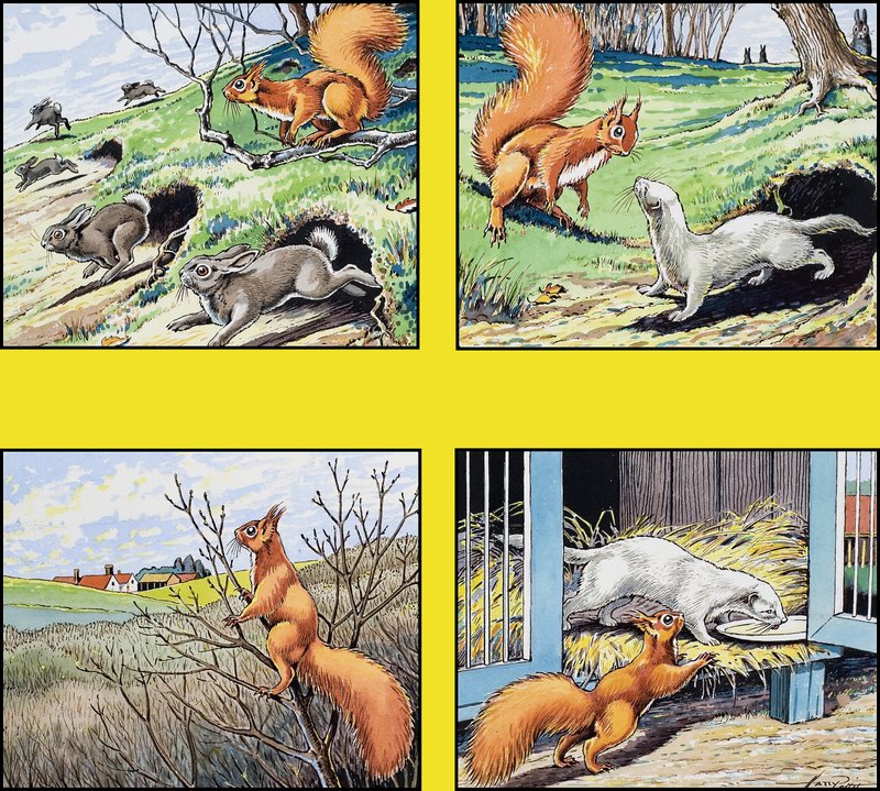 Küçük Kızıl Sincap by Harry M. Pettit
