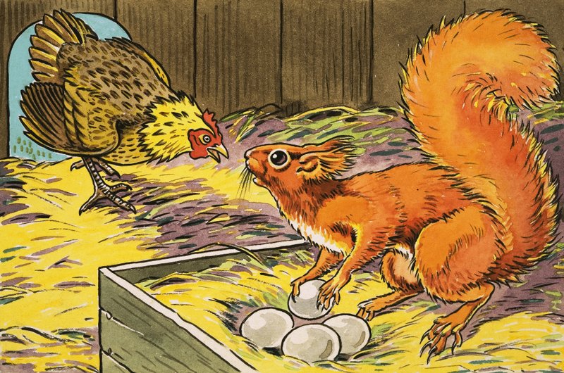 Küçük Kızıl Sincap by Harry M. Pettit