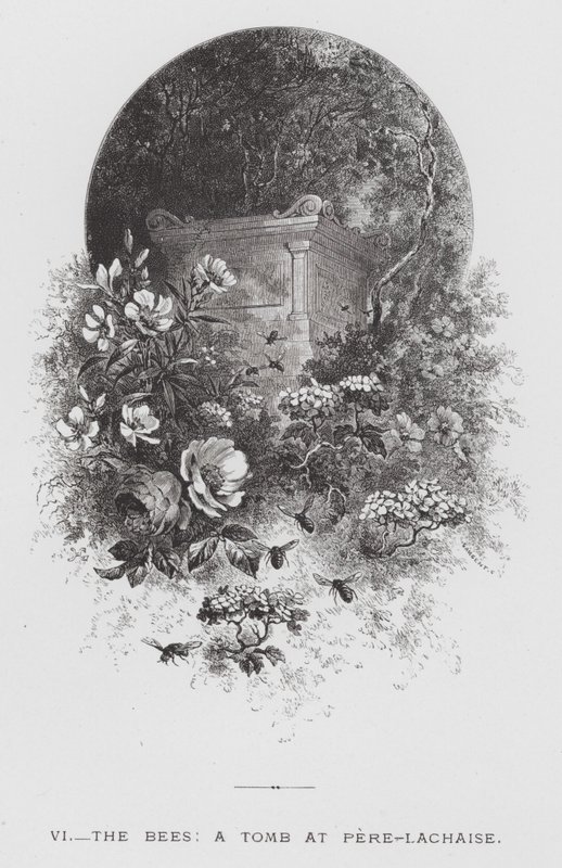 Böcek: Arılar, Pere-Lachaise