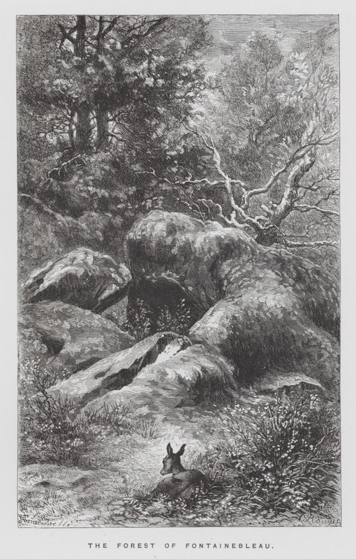 Böcek: Fontainebleau Ormanı (gravür) by Hector Giacomelli