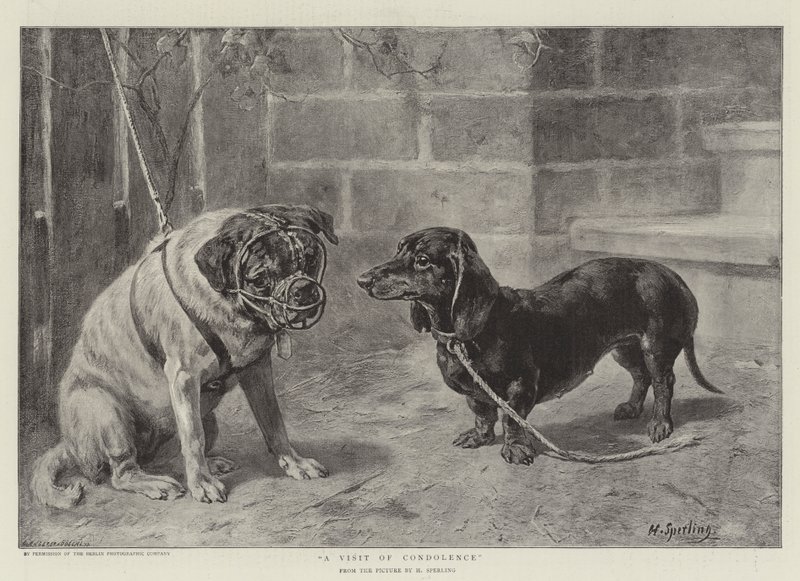 Taziye gravürü ziyareti by Heinrich Sperling