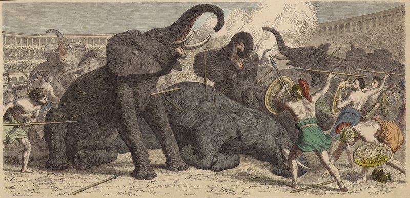 Roma arenasında yakalanan fillerin öldürülmesi by Heinrich Leutemann