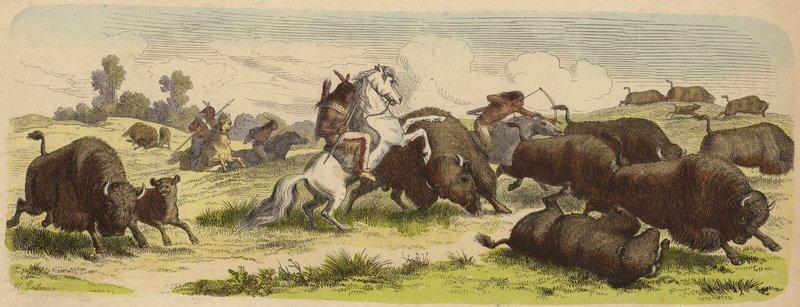 At sırtında bufalo avlayan Kızılderililer (renkli gravür) by Heinrich Leutemann