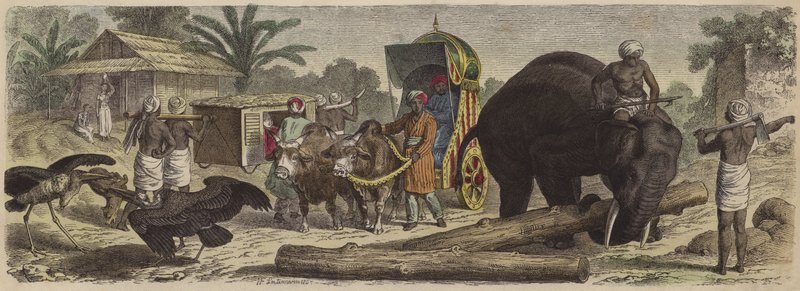 Bengal, Hindistan