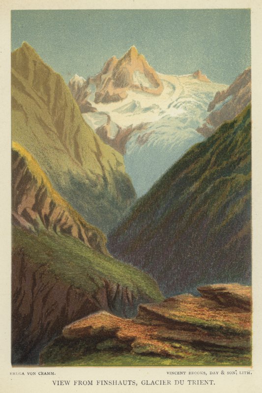 Finshauts, Glacier du Trient
