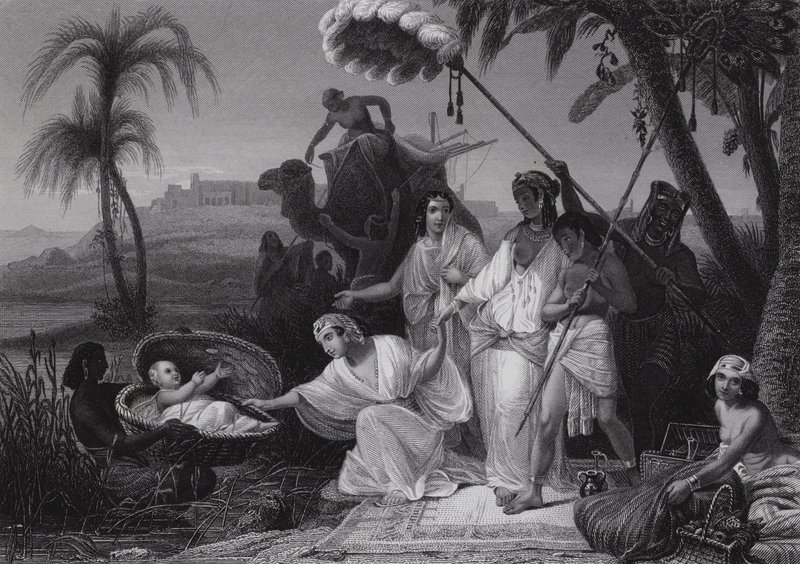 Musa