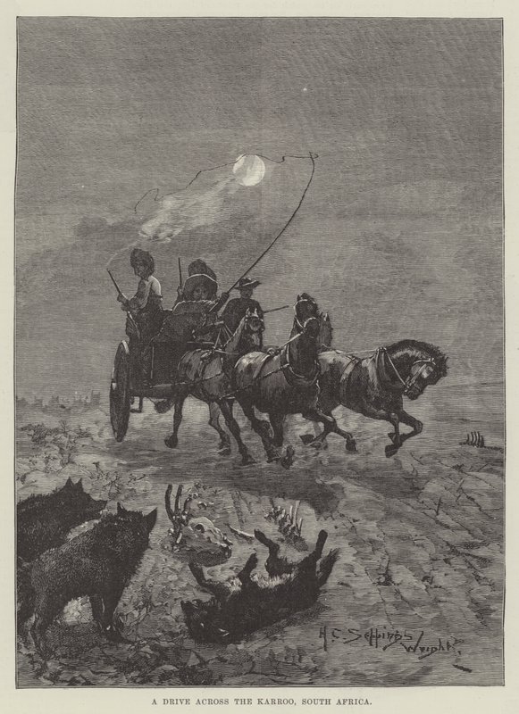 Karroo, Güney Afrika genelinde bir Drive by Henry Charles Seppings Wright