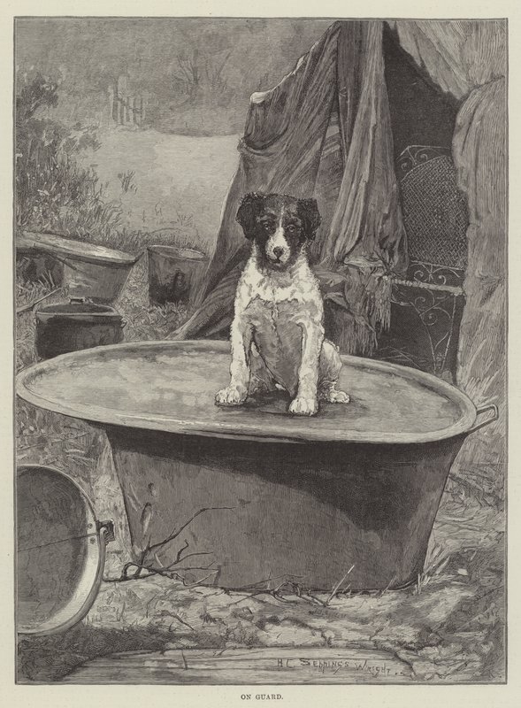 Koruma altinda by Henry Charles Seppings Wright