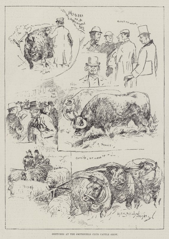 Smithfield Club Sığır Şovunda Eskizler by Henry Charles Seppings Wright