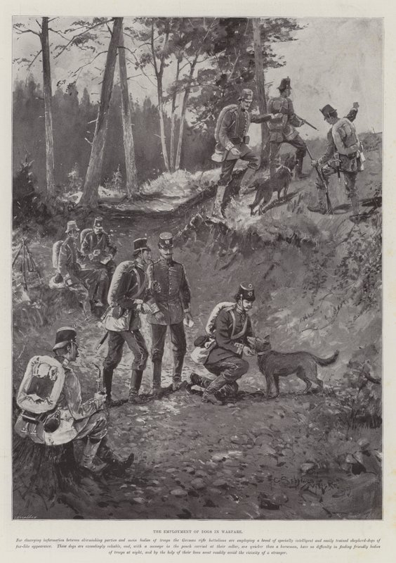 The Employment of Dogs in Warfare  by Henry Charles Seppings Wright