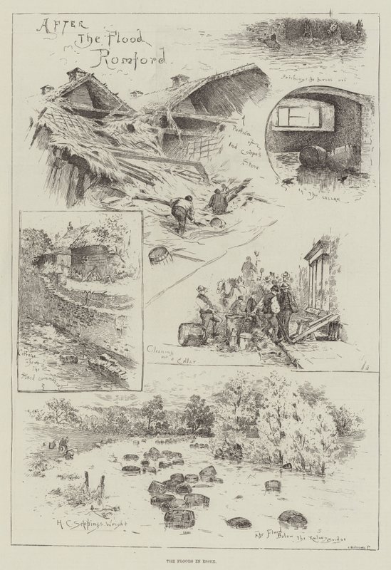 ಎಸೆಕ್ಸ್ ಟರ್ಕಿಯಲ್ಲಿನ ಪ್ರವಾಹಗಳು by Henry Charles Seppings Wright