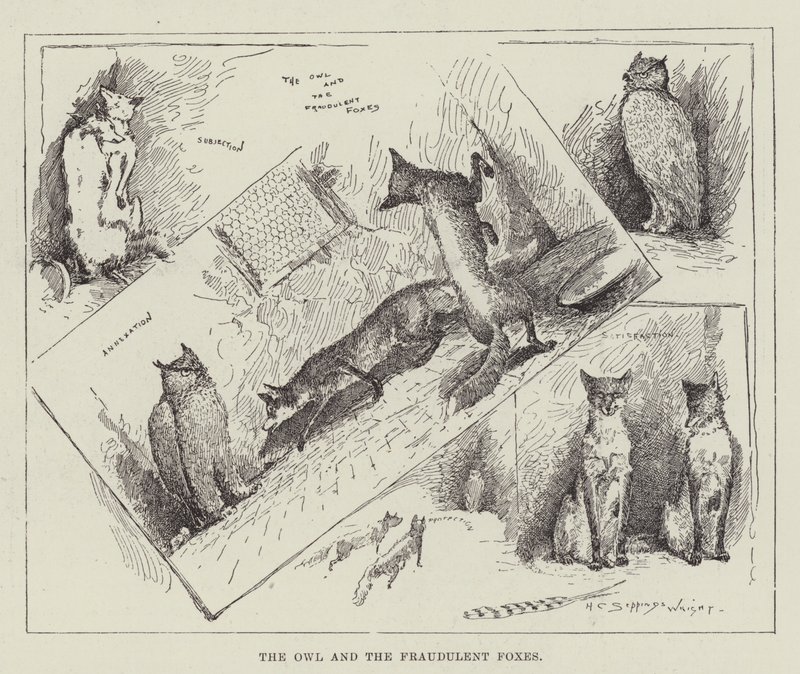 Baykuş ve Sahtekar Tilkiler by Henry Charles Seppings Wright