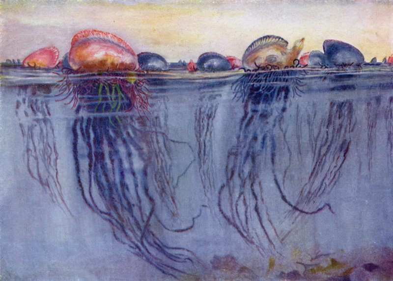 Portekizli Savaş Adamı by Henry Charles Seppings Wright