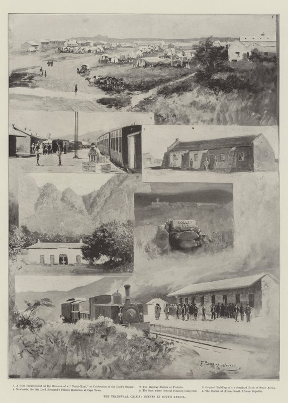 Transvaal Krizi, Güney Afrika