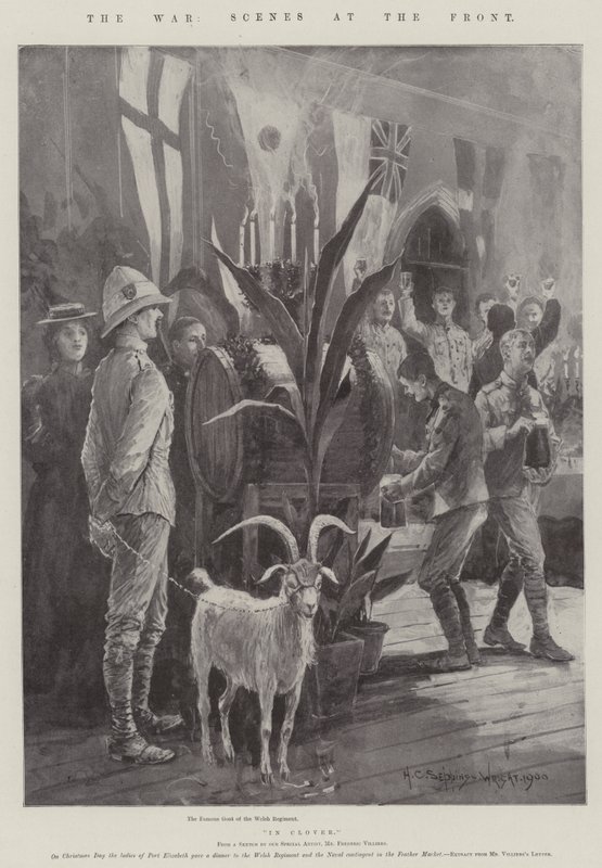 Savaş, Cepheden Sahneler by Henry Charles Seppings Wright