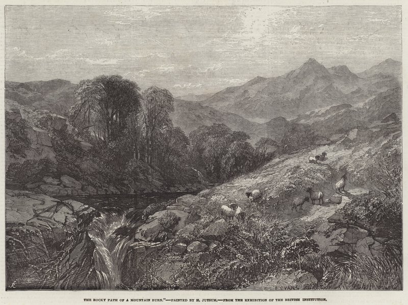 Bir Dağ Yanığının Kayalık Yolu by Henry Jutsum