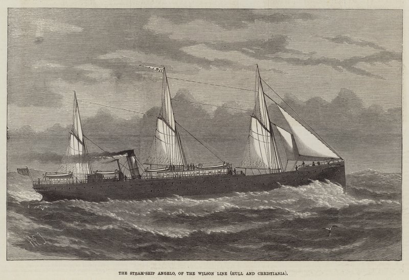 Wilson Line