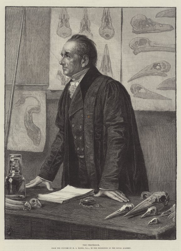 Profesör by Henry Stacey Marks