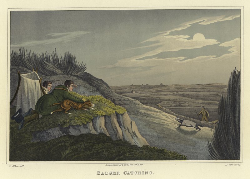 Porsuk Yakalama (chromolitho) by Henry Thomas Alken